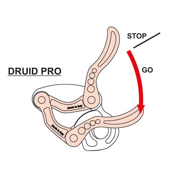 Druid Pro（ドゥルイドプロ）