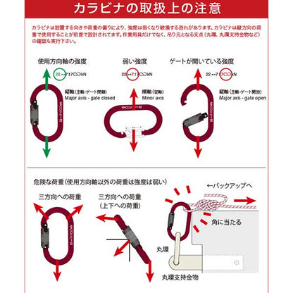 ジャイアント