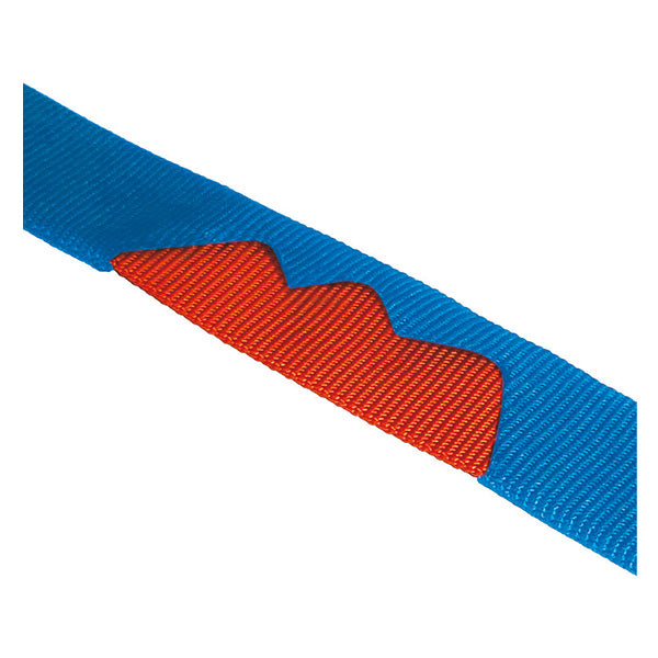 Truck Loop（トラック ループ ）